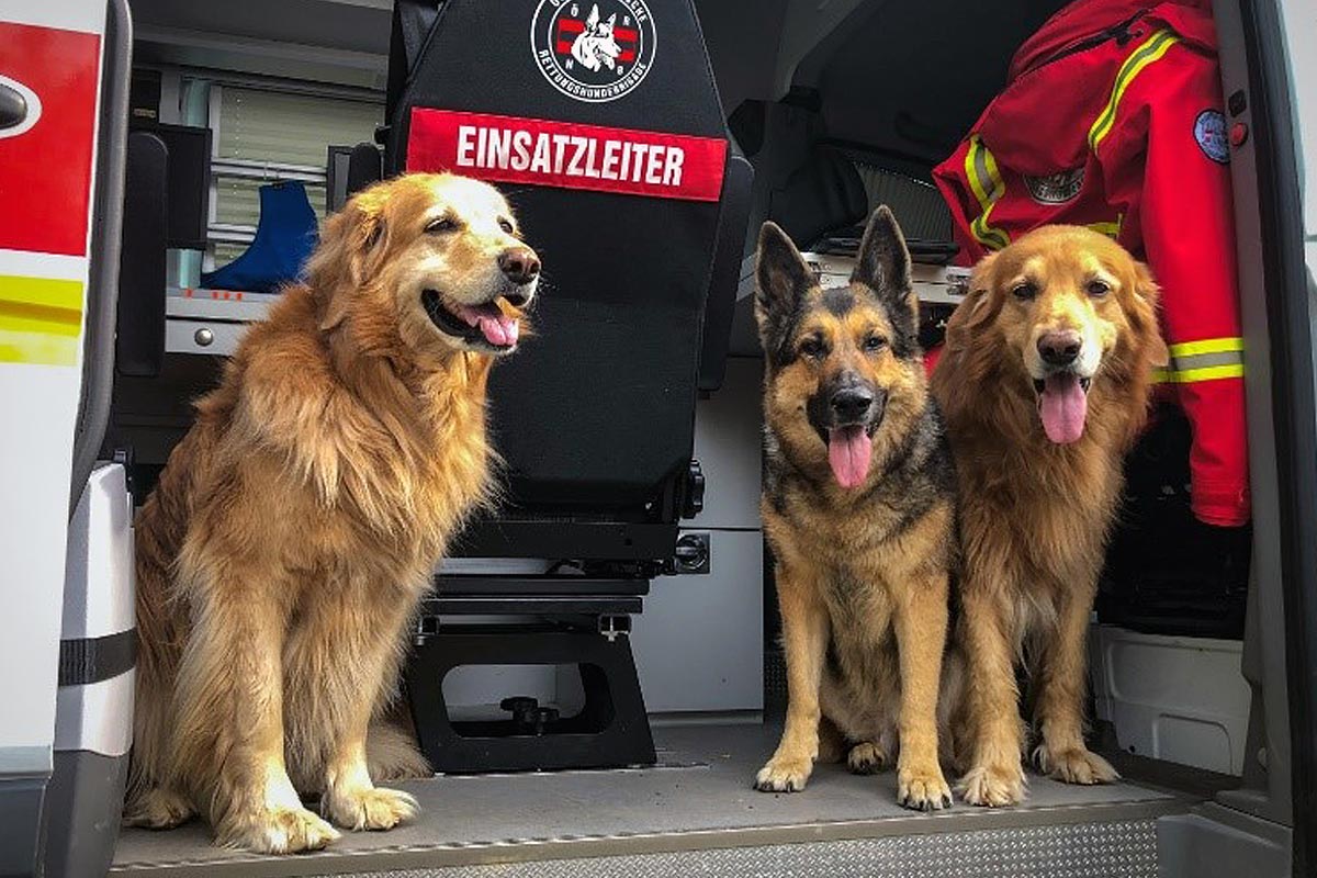 Österreichischer Rettungshundebrigade - das gute Los